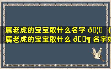 属老虎的宝宝取什么名字 🦍 （属老虎的宝宝取什么 🐶 名字好听）